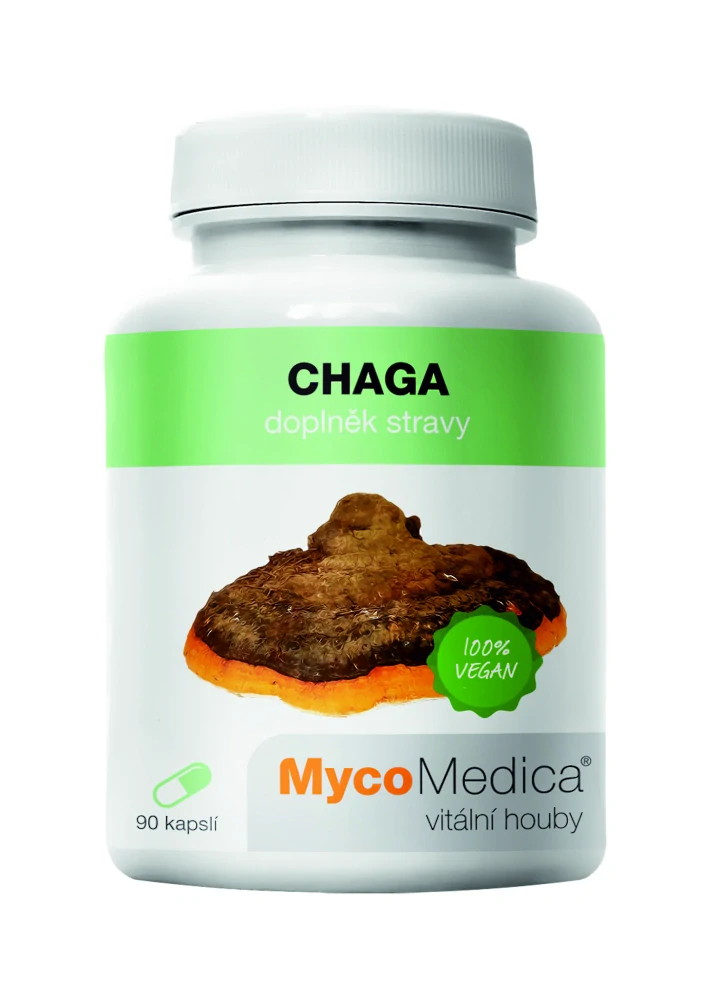 Chaga